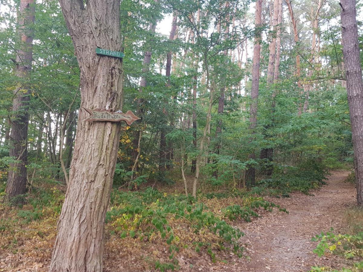 Blockhaus Canow Mit Fahrraedern Kültér fotó